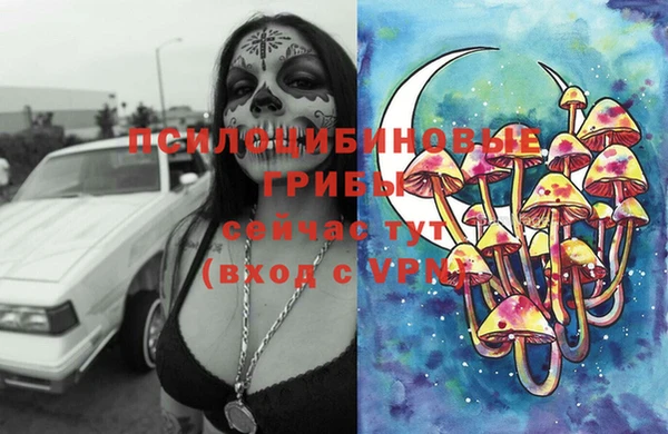 ECSTASY Нея