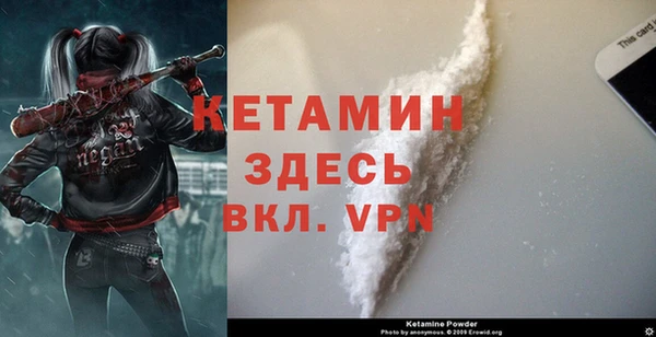 прущие крисы Новозыбков