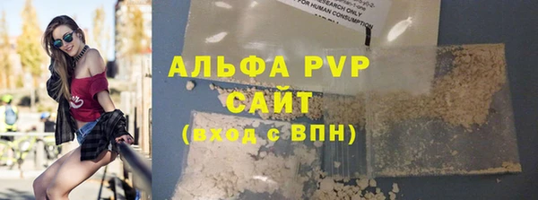 прущие крисы Новозыбков