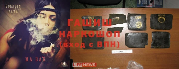 прущие крисы Новозыбков