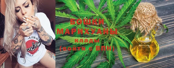прущие крисы Новозыбков