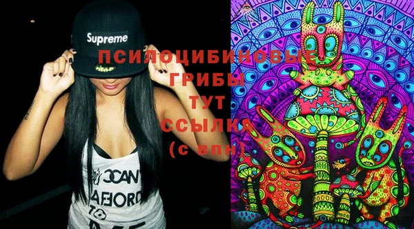 ГАЛЛЮЦИНОГЕННЫЕ ГРИБЫ Новокубанск