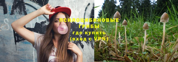 спиды Аша