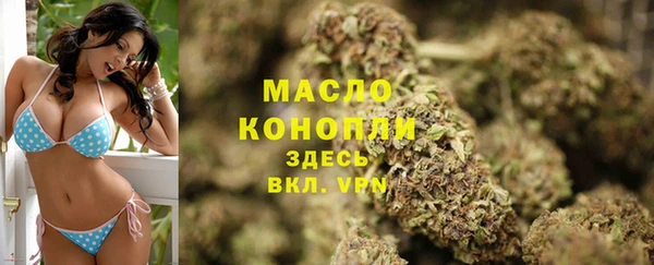 прущие крисы Новозыбков